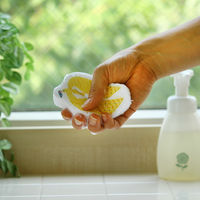 （100%天然素材）ポップアップスポンジ 水でふくらむ キッチンスポンジ カタカタ かもめ 1個 イーオクト