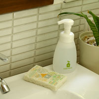 （100%天然素材）ポップアップスポンジ 水でふくらむ キッチンスポンジ 点と線模様製作所 夏の村 1個 イーオクト