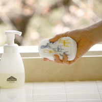 （100%天然素材）ポップアップスポンジ ベングト＆ロッタ 水でふくらむ キッチンスポンジ チェアーズ 2個セット イーオクト