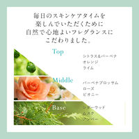 数量限定　Dr.SYUWAN セラム＆シートマスクセット 1枚+1個 ビタミンC リフトアップ パック 保湿 毛穴  I-ne