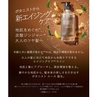 BOTANIST（ボタニスト）　ルース　エイジングケア　ボタニカルトリートメント　ストレート（詰替）　400g I-ne
