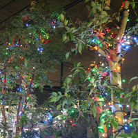 コロナ産業 ストレートライト100球 コントローラー付 5色ミックス LWK100M5 1個（直送品）