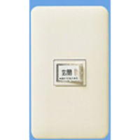 パナソニック フルカラーモダンプレート1コ用(10入) WN6001W010 1式（直送品）