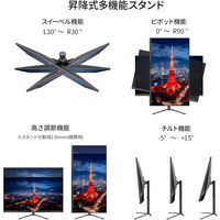 ジャパンネクスト  31.5インチ ワイド4K液晶ディスプレイ(3840x2160/IPS/DP) JN-IPS315U-HSP（直送品）
