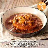 【非常食】杉田エース IZAMESHI イザメシ 煮込みハンバーグ 1個