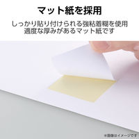 ラベルシール 表示・宛名ラベル プリンタ兼用 12面 A4  四辺余白 22シート エレコム EDT-ECNL12BS22 1個（直送品）