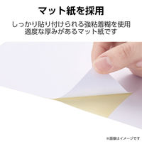 ラベルシール 表示・宛名ラベル プリンタ兼用 2面 A4  余白なし 22シート エレコム EDT-ECNL2S22 1個（直送品）