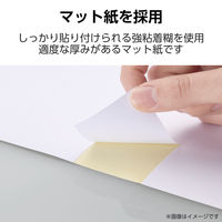 ラベルシール 表示・宛名ラベル プリンタ兼用 21面 A4  余白なし 50シート エレコム EDT-ECNL21S50 1個（直送品）