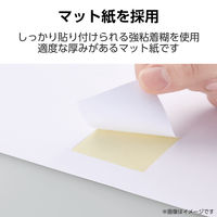 ラベルシール 表示・宛名ラベル プリンタ兼用 12面 A4  四辺余白 50シート エレコム EDT-ECNL12BS50 1個（直送品）