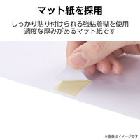 ラベルシール 表示・宛名ラベル プリンタ兼用 65面 A4  角丸 22シート エレコム EDT-ECNLR65S22 1個（直送品）