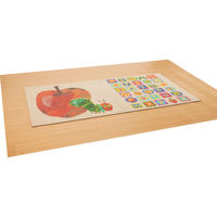 【軒先渡し】コイズミファニテック Hagu はらぺこあおむし 畳マット 900×900mm アップル HG-RM750 1枚（直送品）