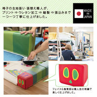 【軒先渡し】コイズミファニテック Hagu はらぺこあおむし キューブクッション 1辺190mm HG-HA733 1セット(5個入)（直送品）