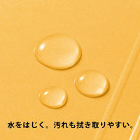 コクヨ アスクル 共同企画 フラットファイル PPラミネート A4タテ イエロー 10冊 オリジナル（わけあり品）