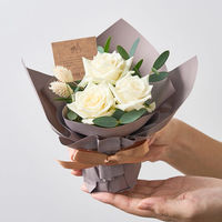 アデリー ホシファーム ミニアレンジメントピュア&ホシフルーツ贅沢ブラウニー3個 FMU-05D 1箱（直送品）