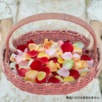 アデリー ホシファーム 生花バラ デコレーションローズ フラワーシャワー・バスフラワー FMY-01D 1箱（直送品）