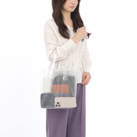 半透明シースルーバッグ（ビニールバッグ）　ポケット付き　Sサイズ（B5ワイド）1セット（100枚：10枚入×10） オリジナル