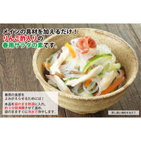 堂本食品 春雨サラダの素 160g×12個 4904566283524 1セット(12個)（直送品）