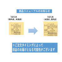 ぼんち揚 5パック入 1セット（1袋×10） ぼんち せんべい おかき 小分け 食べきりサイズ お配り
