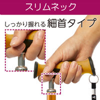 竹虎 バンブーステッキ ワインレッド 104942 1本