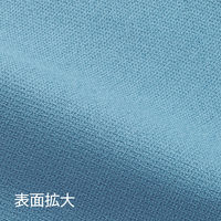 テラモト マイクロシャインクロス Ｌサイズ  約330×500ｍｍ CE4751023　1枚