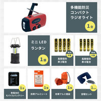 防災セット 中身だけ 1人用 防災士監修 非常用持ち出し袋 防災ラジオ 非常食 保存水 モバイルバッテリー 警戒レベル4（直送品）