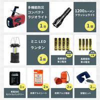 防災セット 中身だけ 2人用 防災士監修 非常用持ち出し袋 防災ラジオ 非常食 保存水 モバイルバッテリー 警戒レベル4（直送品）