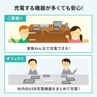 サンワサプライ USB PD対応AC充電器（6ポート・合計72W） ACAーPD98 1個