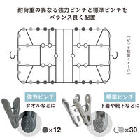 シービージャパン The hangers 傾かないランドリーハンガー 42P 1個