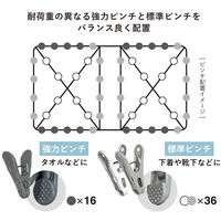 シービージャパン The hangers ランドリーハンガー52P 1個