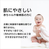 洗濯用重曹プラス 600g 衣料用洗剤 粉末洗剤 1個 丹羽久