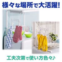 ダイヤ ちょい足しピンチ・neo　5個入 057464 1パック（5個入）