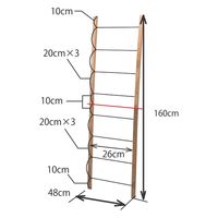 ポッシュリビング ラダーL　W48×D3×H160cm マンゴーウッド/アイアン 41313 1個（直送品）
