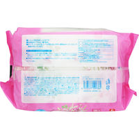 【おしりふき】【トイレに流せる】レック こころ想い 流せるおしりふき 1パック（80枚入×3個）