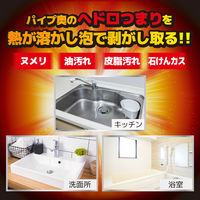 ウルトラハードクリーナー パイプ用 500g リンレイ