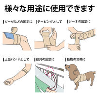 竹虎 タケトラピタッとタイ 2.5cmx4.5m（伸長） 021507 1巻