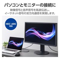 HDMI ケーブル ハイスピード 2m 4K 30Hz ARC ブラック DH-HD14E20BK2 エレコム 1個