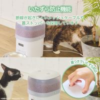 自動給餌器 猫 / 犬 用 コンパクト設計 2L 1匹用 タイマー式 1日6食 ブラック PET-AF05BK エレコム 1個（直送品）