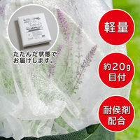 アストロ 虫よけ・霜よけ保護シート(園芸用 不織布シート) 1.6×10m 602-99S 1枚（直送品）