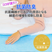 アストロ ドライ&ドライ 防ダニ抗菌防臭!吸湿マット ダブル 614-99 1枚（直送品）