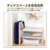 アストロ 消臭羽毛布団保存ケース薄型 シングル 617-33 1枚（直送品）