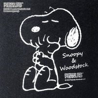 アストロ スヌーピー フェルトガーデンポット 10号 2枚組 900-37 1セット(2枚)（直送品）