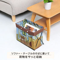 アストロ ワイヤーケース アルルの寝室 900-45 1個（直送品）