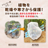 アストロ 虫よけ・霜よけ保護シート 1.6×5m 520-43 1枚（直送品）