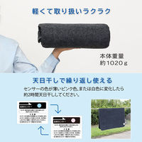 アストロ 消臭炭入ドライ&ドライ吸湿防ダニマット ダブル 2枚組 615-04 1セット(2枚)（直送品）