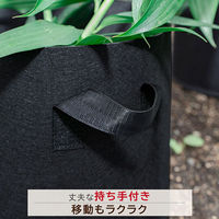 アストロ フェルトガーデンポット 10号 2枚組 520-35 1セット(2枚)（直送品）