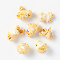 無印良品 素材を生かした キャラメルポップコーン ５３ｇ 1セット（1袋×2） 良品計画