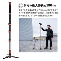 IFOOTAGE 自立式一脚 CB3-C180F-P 1台（直送品）