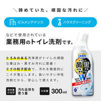 アイメディア トイレの黄ばみと黒ずみ落ちーる 1010219 1個（直送品）