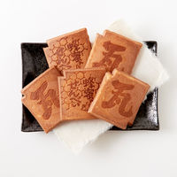 瓦せんべい 35枚入 1個 天然生活 せんべい おかき