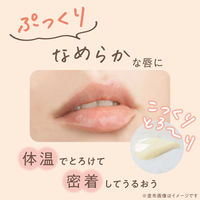 daily delight（デイリーディライト） リップバーム（プレミアムバニラ） 10g グローバルプロダクトプランニング